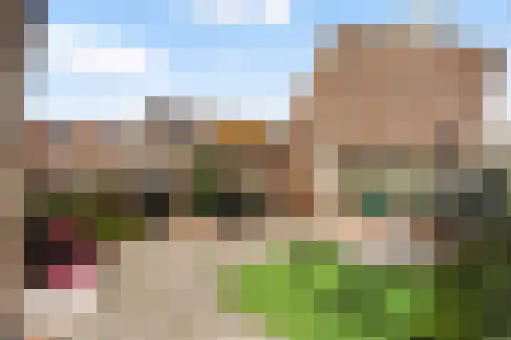 Karos 2 Sassenheim thumbnail 41