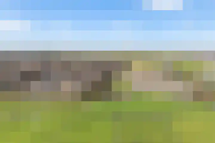 Karos 2 Sassenheim thumbnail 49