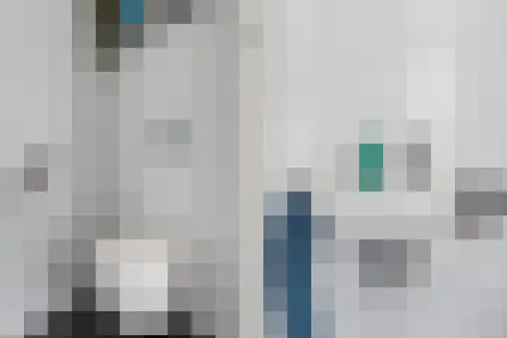 Karos 2 Sassenheim thumbnail 6