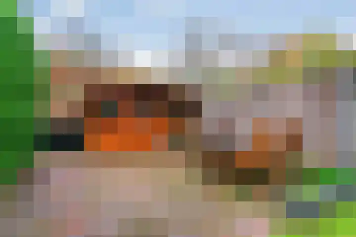 Karos 23 Hoorn thumbnail 31
