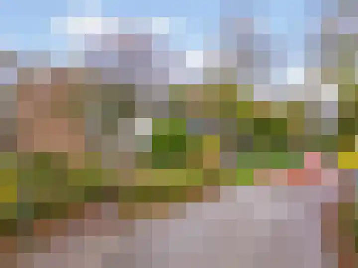 Karos 23 Hoorn thumbnail 37