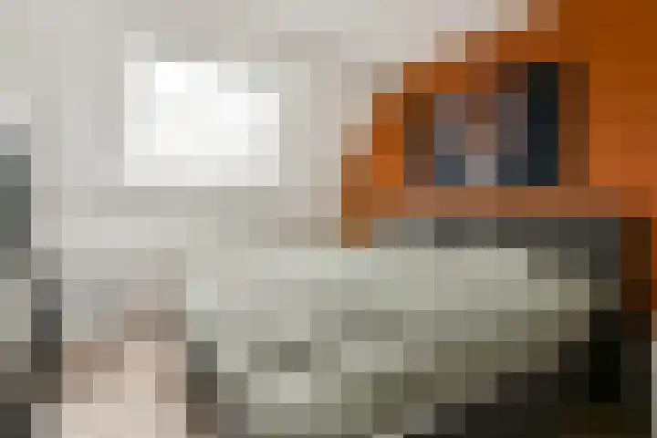 Karos 6 Sassenheim thumbnail 13