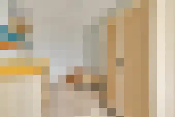 Karos 6 Sassenheim thumbnail 16