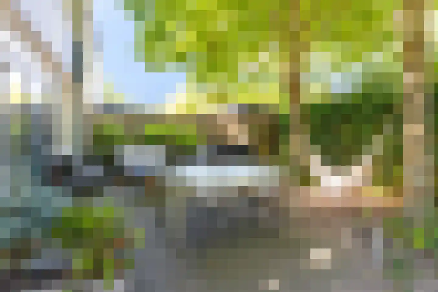 Karos 70 Hoorn thumbnail 4