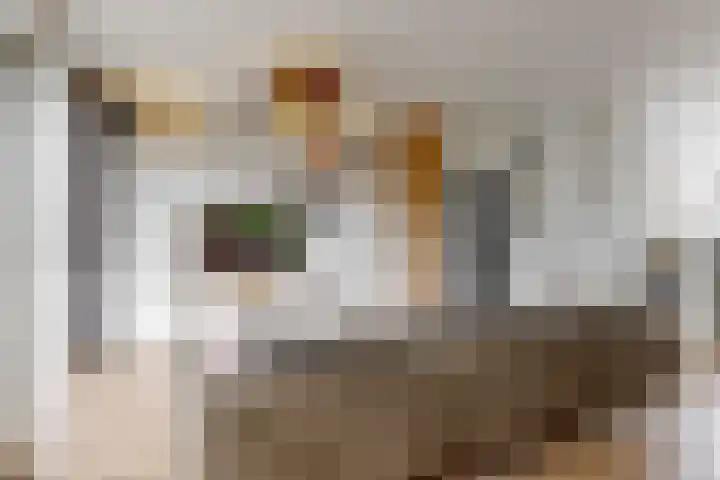 Karos 71 Hoorn thumbnail 13