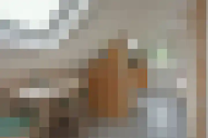 Karos 78 Hoorn thumbnail 21
