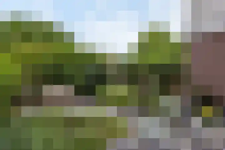Karos 78 Hoorn thumbnail 26