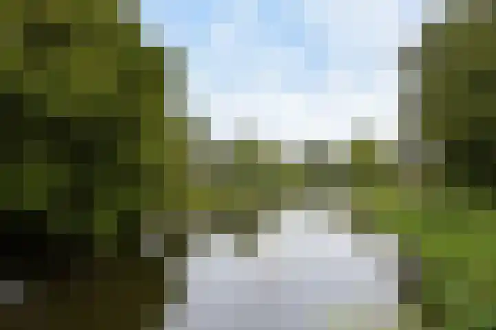 Karos 78 Hoorn thumbnail 38