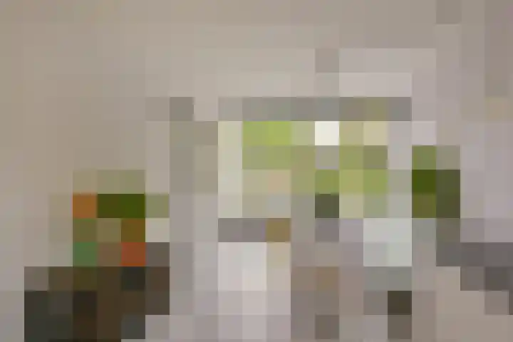 Karos 78 Hoorn thumbnail 5