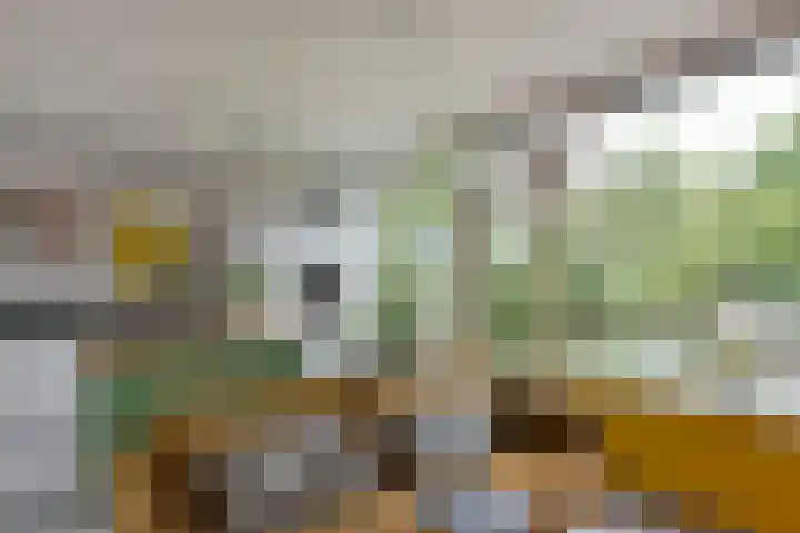 Karos 78 Hoorn thumbnail 8