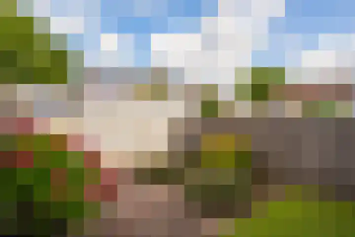 Karosdrift 14 Nieuwegein thumbnail 22