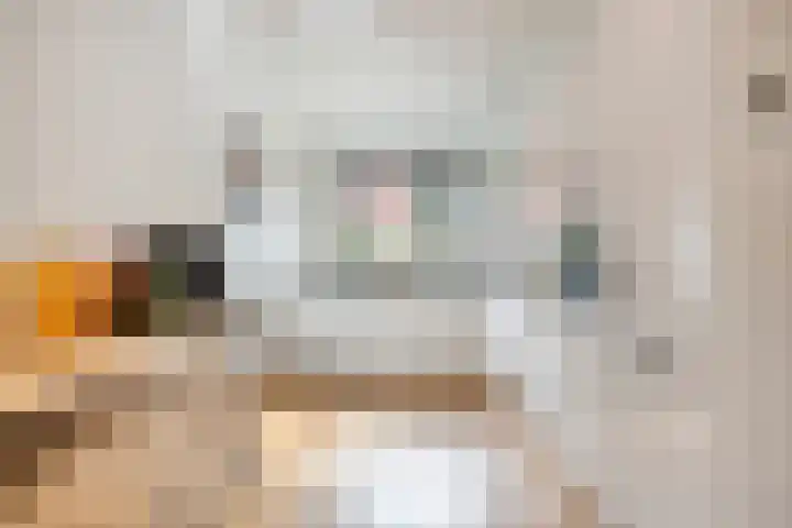 Karpaten 18 Purmerend thumbnail 11