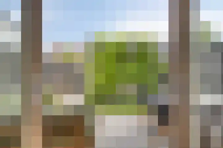 Karpaten 18 Purmerend thumbnail 14