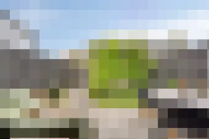 Karpaten 18 Purmerend thumbnail 15