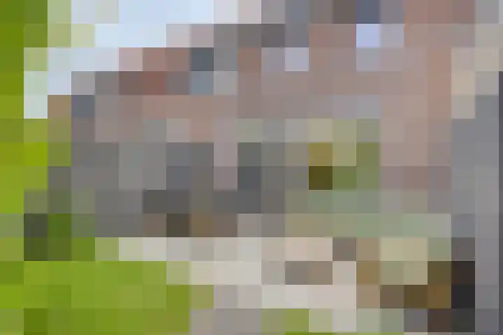 Karpaten 18 Purmerend thumbnail 16
