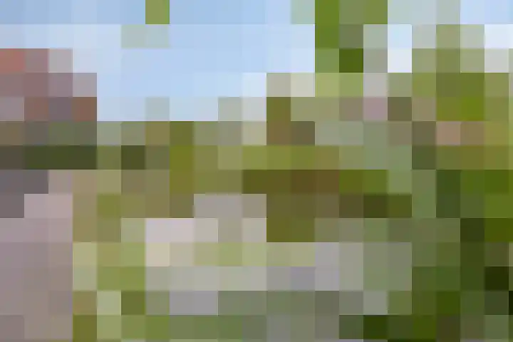 Karpaten 18 Purmerend thumbnail 19