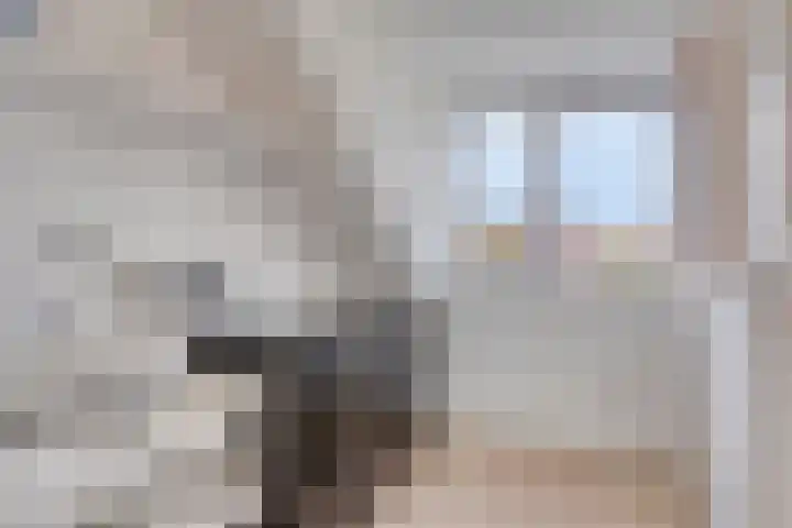 Karpaten 18 Purmerend thumbnail 36