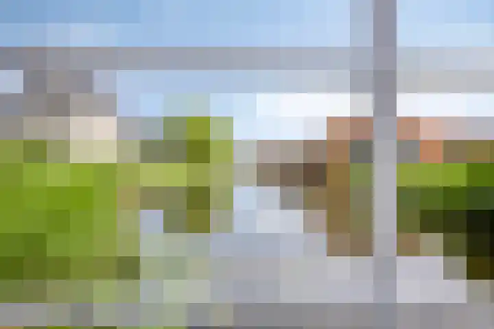 Karpaten 18 Purmerend thumbnail 37