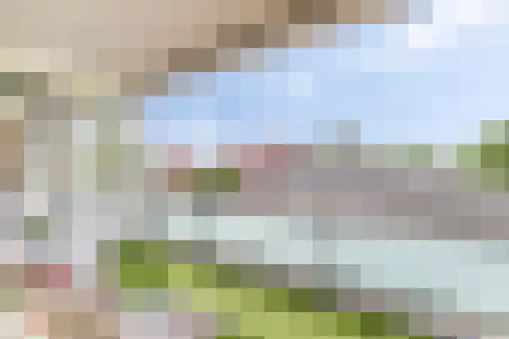 Karpaten 2 IJsselstein thumbnail 23