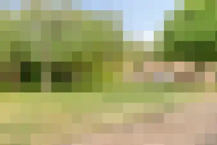Karpaten 2 IJsselstein thumbnail 27