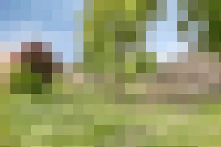 Karpaten 2 IJsselstein thumbnail 31