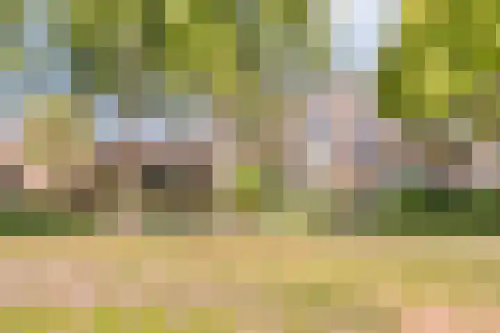 Karpaten 2 IJsselstein thumbnail 32
