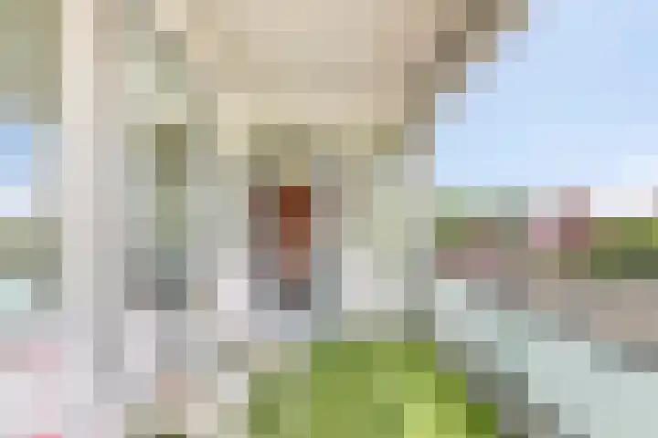 Karpaten 2 IJsselstein thumbnail 5