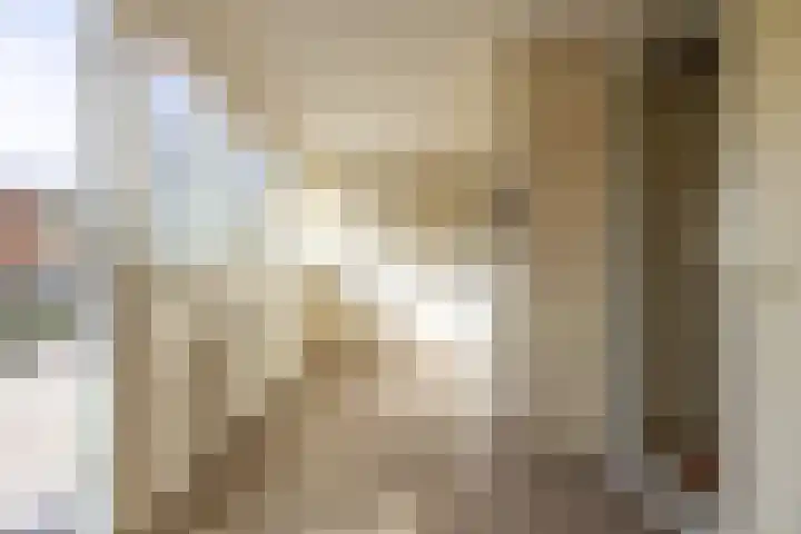 Karpaten 3 Doetinchem thumbnail 17
