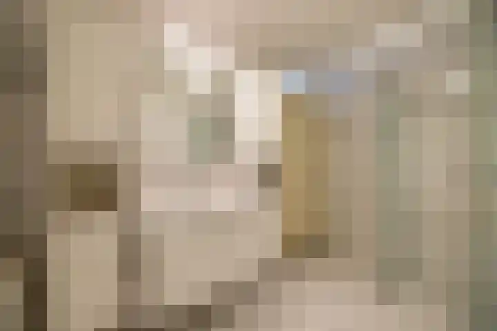 Karpaten 3 Doetinchem thumbnail 38