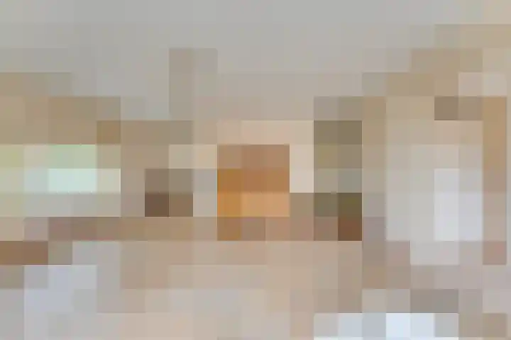 Karpaten 4 Doetinchem thumbnail 20