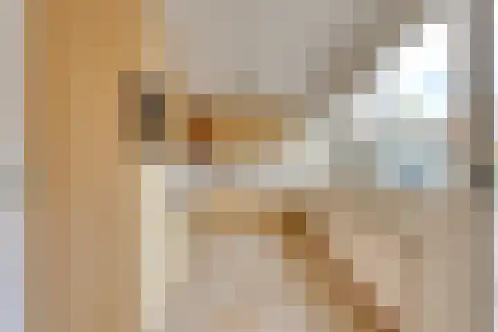 Karpaten 4 Doetinchem thumbnail 22