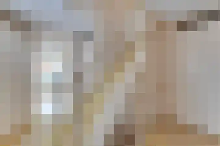 Karpaten 4 Doetinchem thumbnail 27