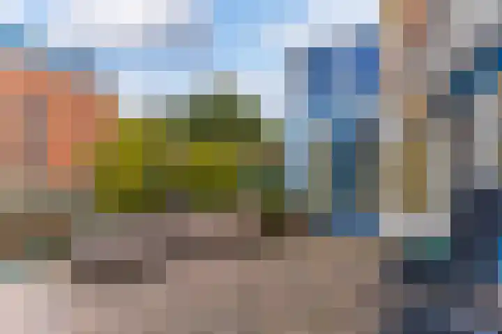 Karpaten 4 Doetinchem thumbnail 48