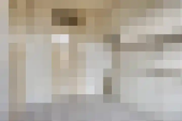 Karpatenlaan 22 Tilburg thumbnail 10