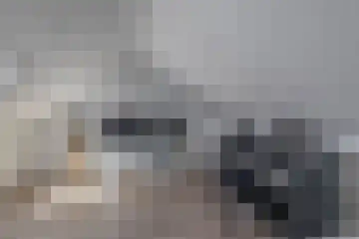 Karpatenlaan 22 Tilburg thumbnail 18