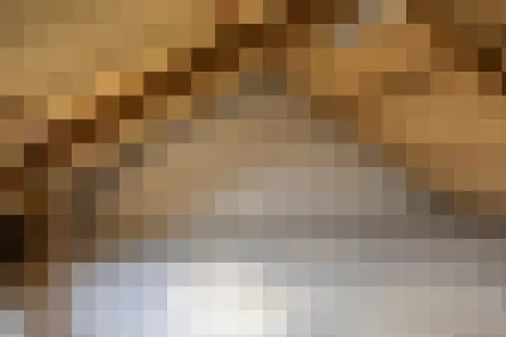 Karpatenlaan 22 Tilburg thumbnail 27