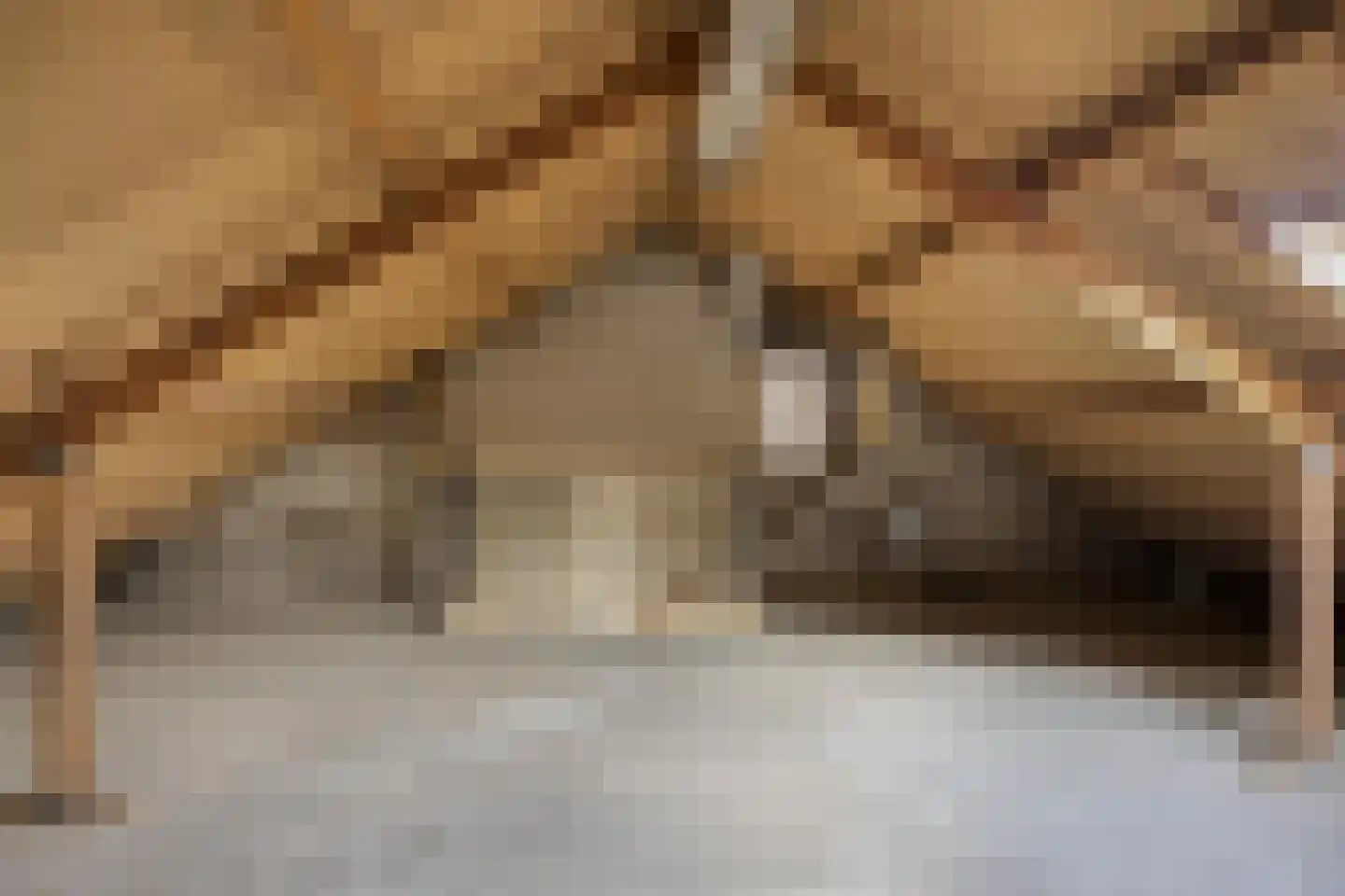 Karpatenlaan 22 Tilburg thumbnail 22