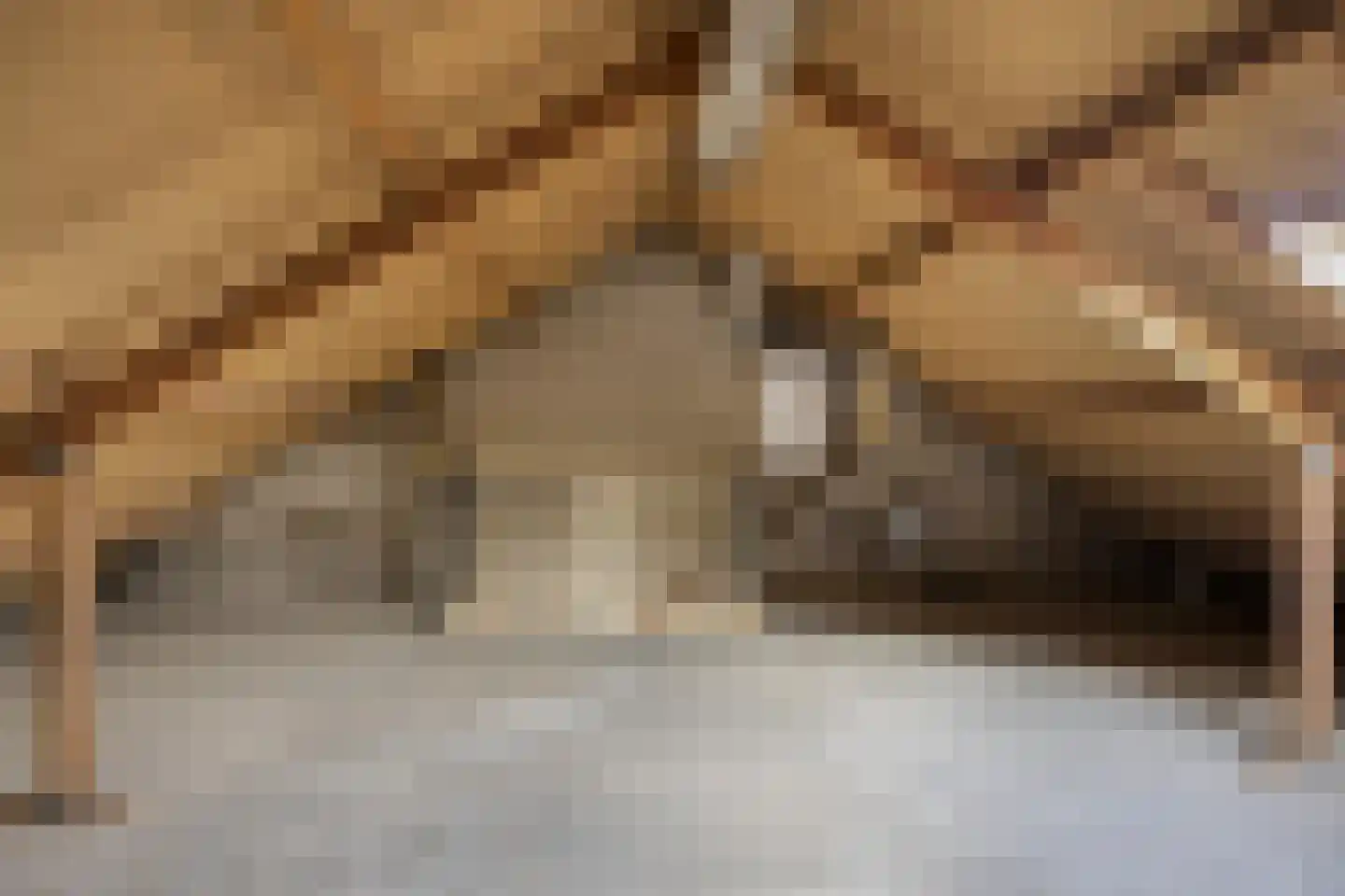 Karpatenlaan 22 Tilburg thumbnail 30