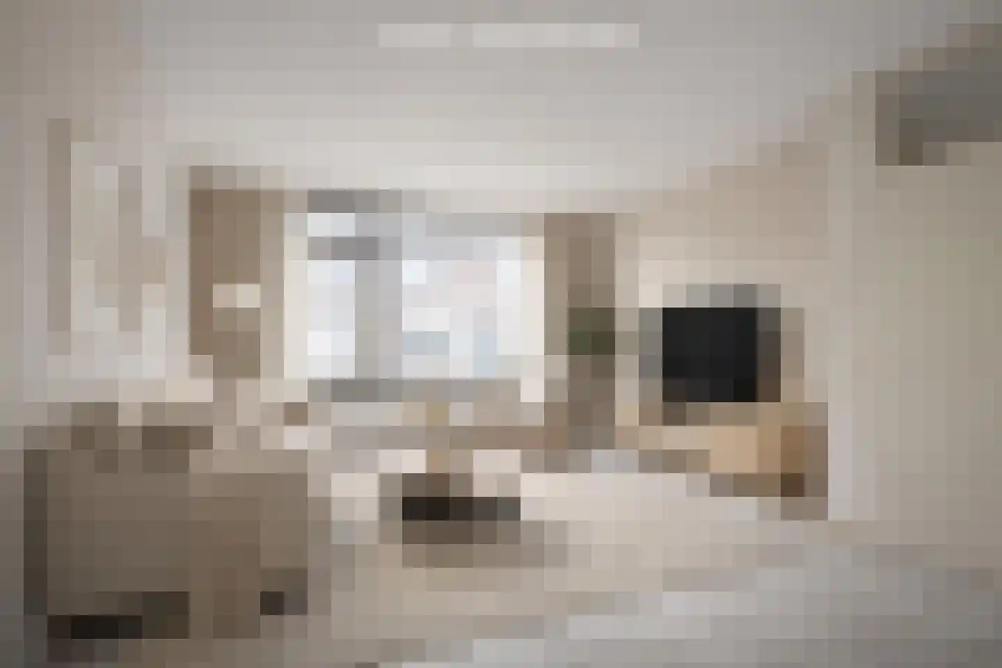 Karpatenlaan 22 Tilburg thumbnail 8