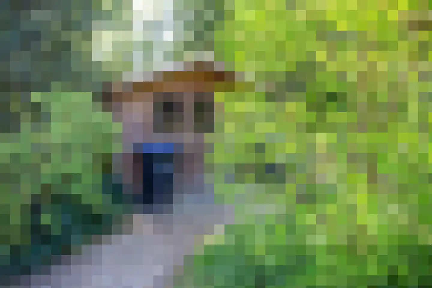Karpatenlaan 32 Tilburg thumbnail 16