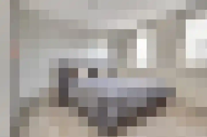 Karpatenlaan 32 Tilburg thumbnail 24