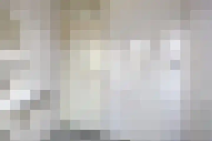 Karpatenlaan 32 Tilburg thumbnail 26