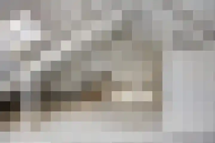 Karpatenlaan 32 Tilburg thumbnail 31
