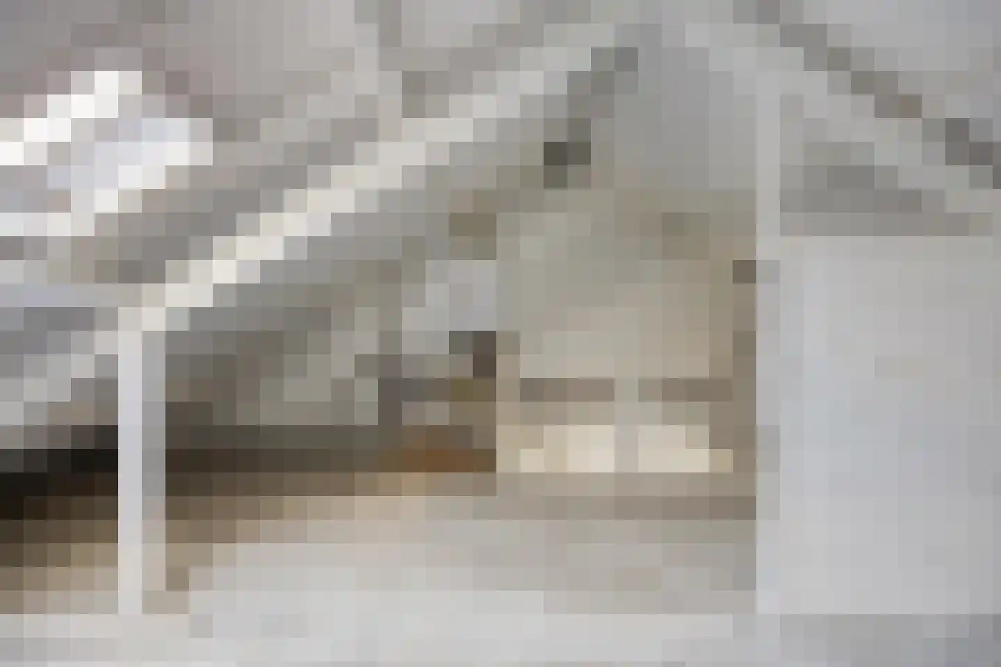 Karpatenlaan 32 Tilburg thumbnail 33