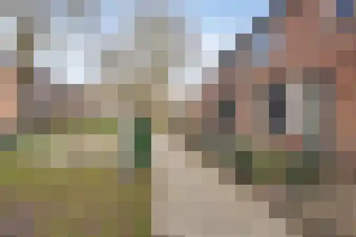 Karpatenlaan 32 Tilburg thumbnail 35