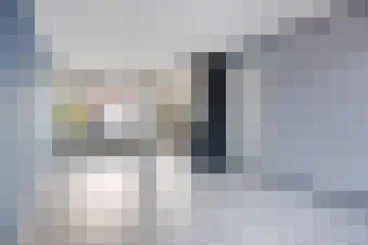 Karpatenlaan 32 Tilburg thumbnail 5
