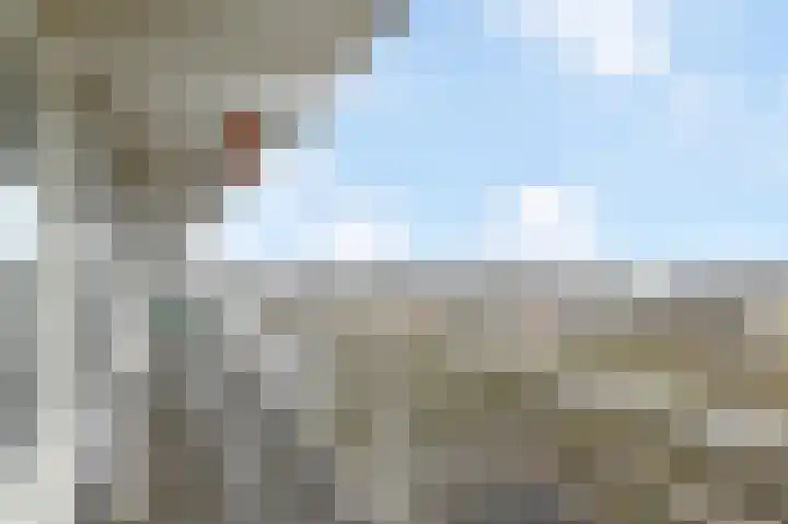 Karpatenlaan 32 Tilburg thumbnail 7
