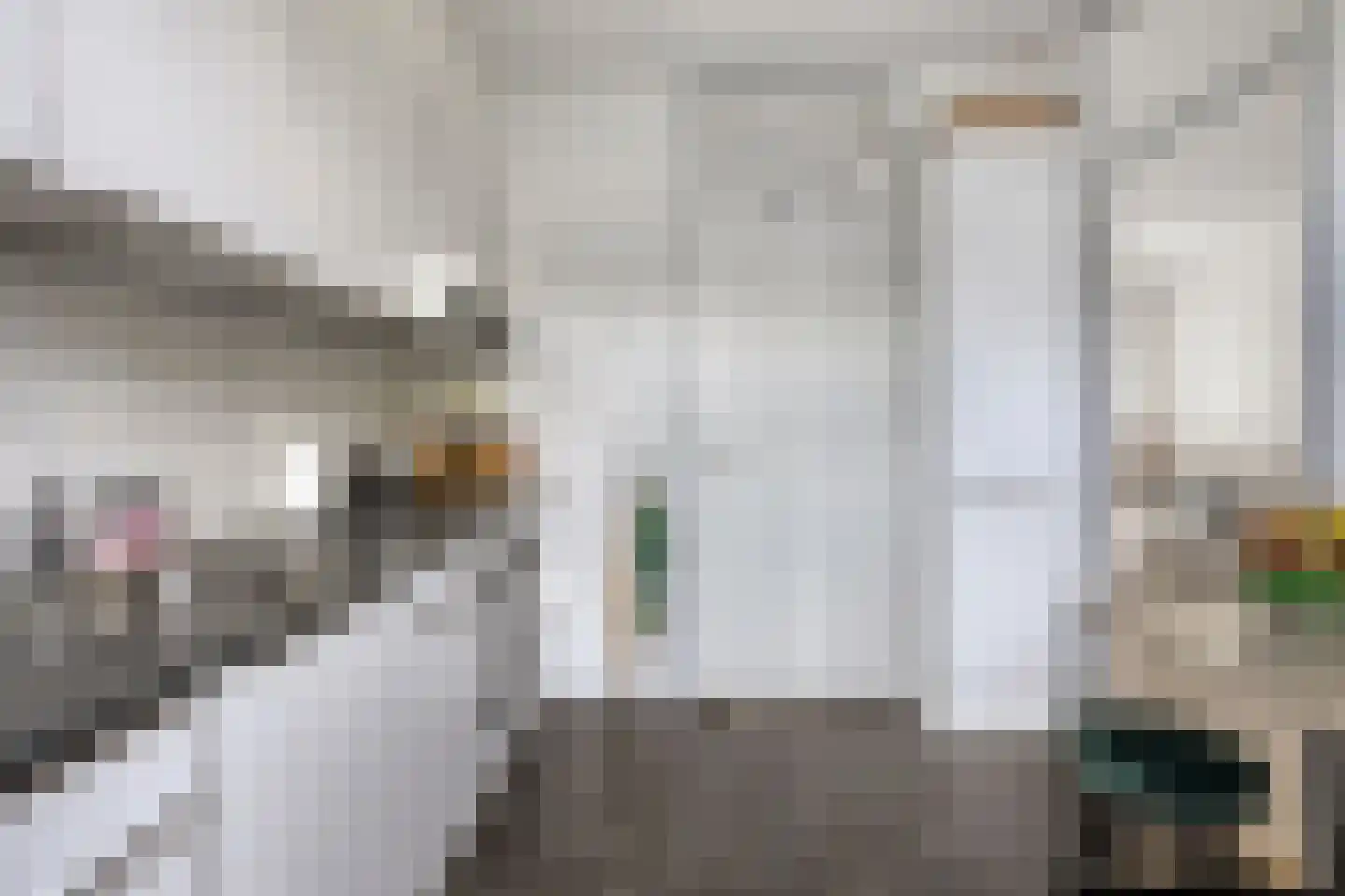 Karpatenlaan 36 Tilburg thumbnail 11