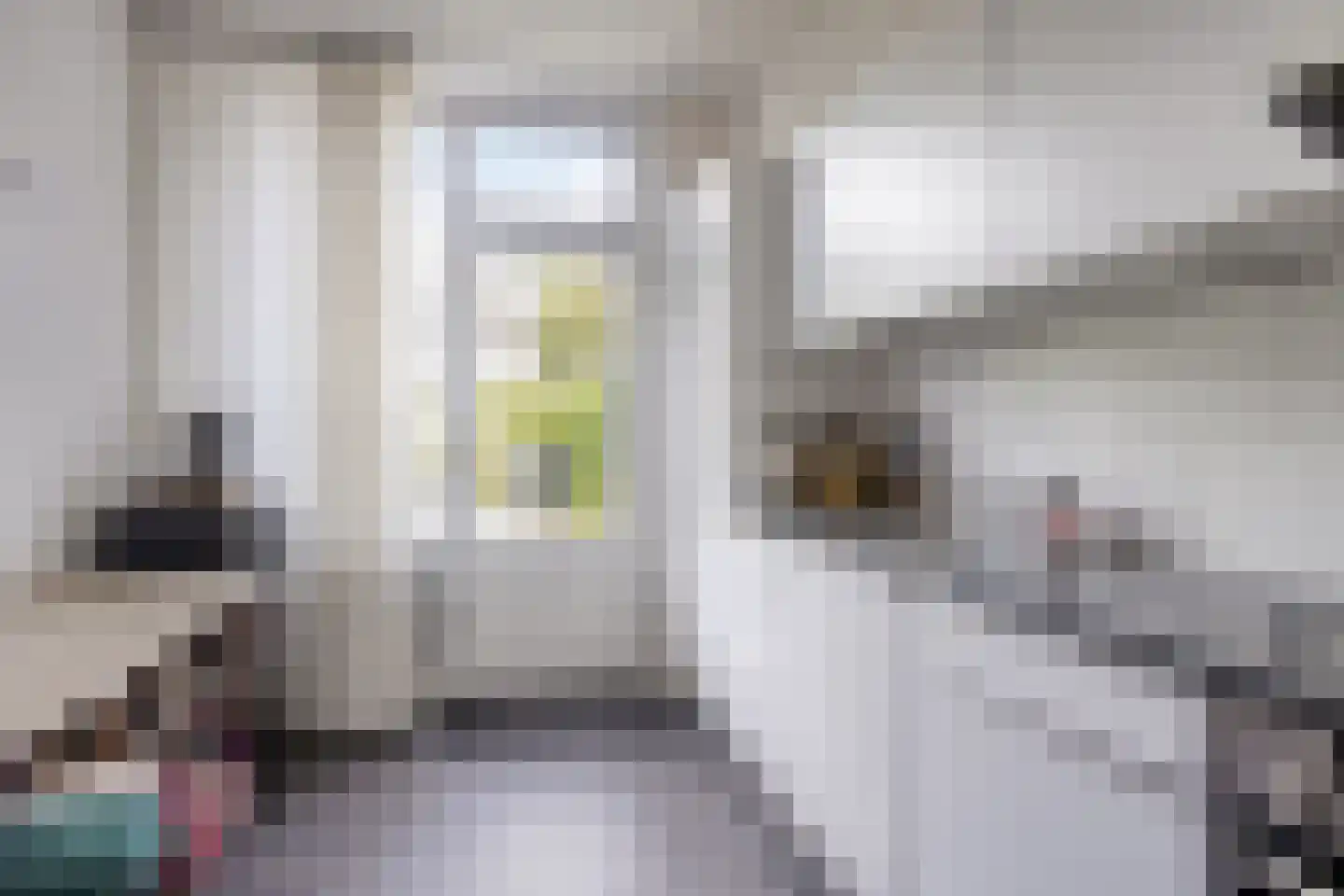 Karpatenlaan 36 Tilburg thumbnail 13