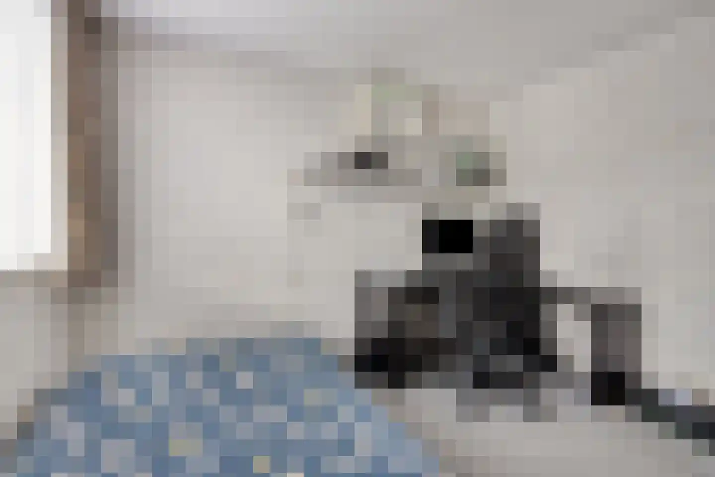 Karpatenlaan 36 Tilburg thumbnail 19